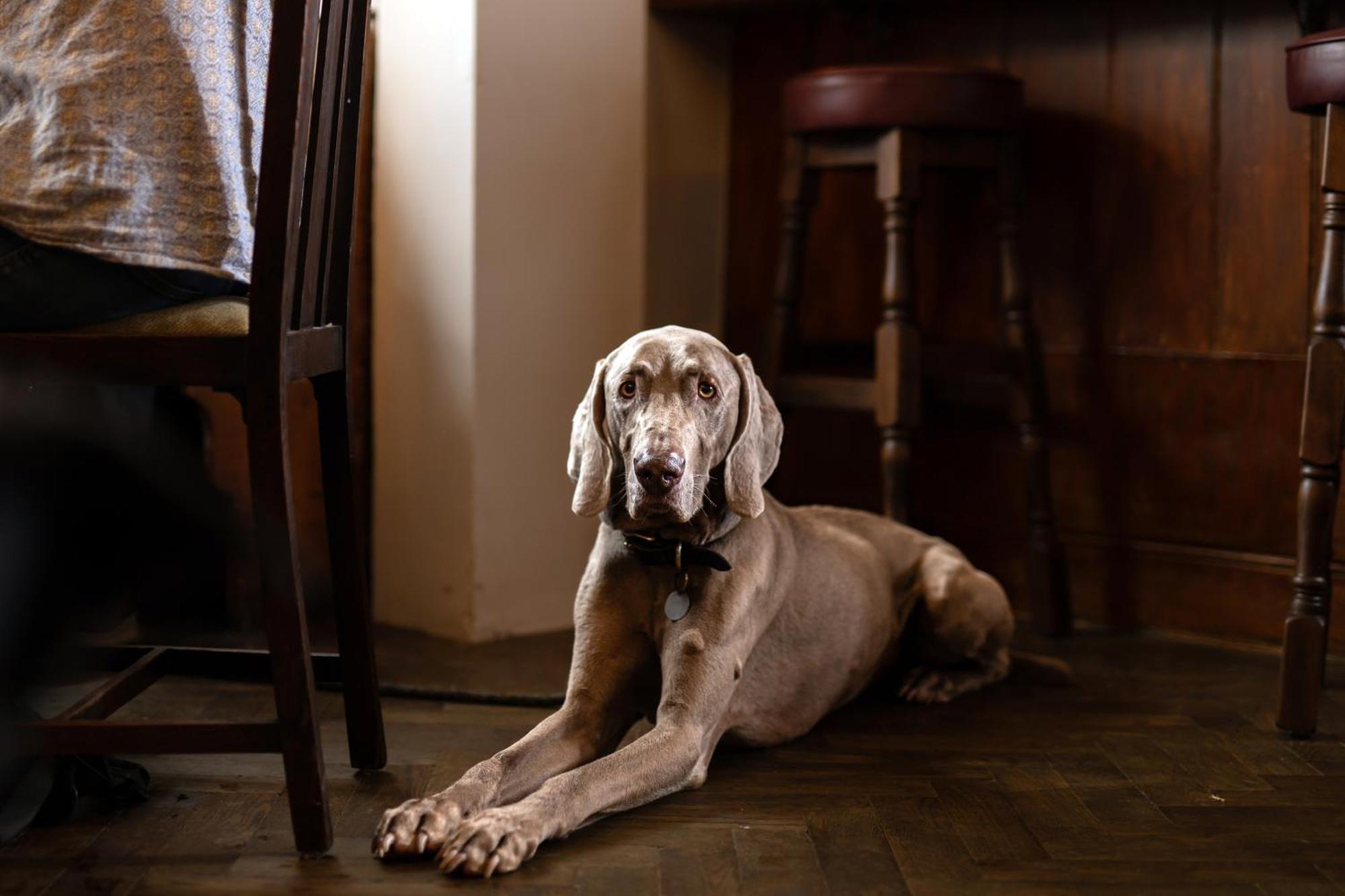 The Lamb Inn Hindon Dış mekan fotoğraf